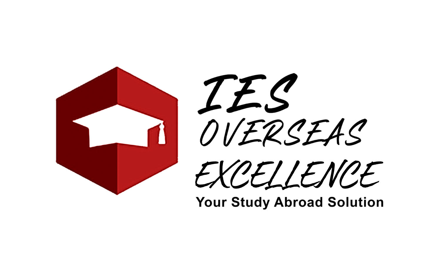 IES Overseas Excellence Logo